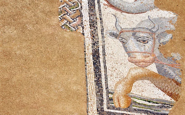 Ancient mosaic in Dion, Greece — Stock Photo, Image