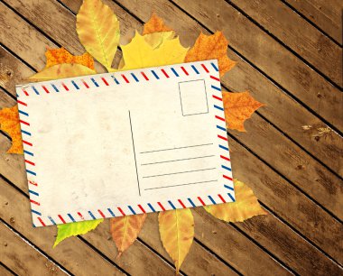 Sonbahar yapraklı grunge arkaplanı 