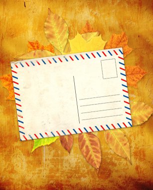 Sonbahar yapraklı grunge arkaplanı 