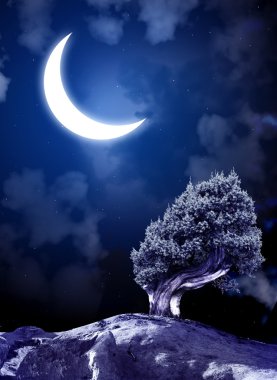 gece masal 
