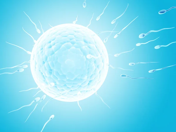 Spermatozoons，漂浮到胚珠 — 图库照片