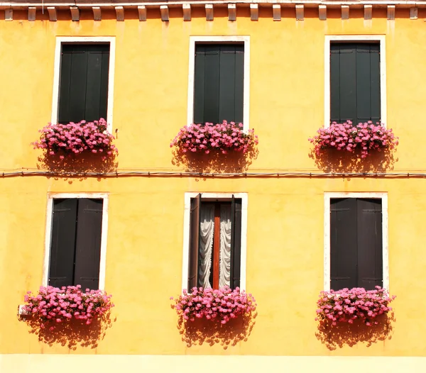 Windows with geranium — Stock Photo, Image