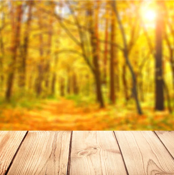 Escrivaninha velha e fundo natureza — Fotografia de Stock