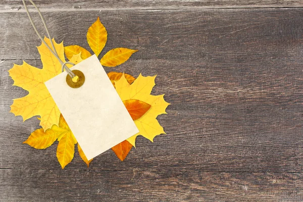 Fond Horizontal Avec Étiquette Papier Rétro Feuilles Automne Sur Vieux — Photo