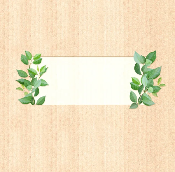绿叶在纸板质感上 具有生态纸质感的垂直横幅 纸板纸背景 回收的纸箱材料和绿叶 复制文本的空间 模型化模板 — 图库照片