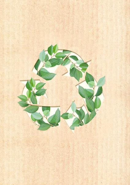 Ecology Zero Waste Concept Arrows Recycle Symbol Green Leaves Cardboard — Stock Photo, Image
