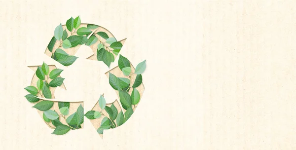 Экология Нулевые Отходы Стрелки Перерабатывают Символ Зеленые Листья Текстуре Картона — стоковое фото