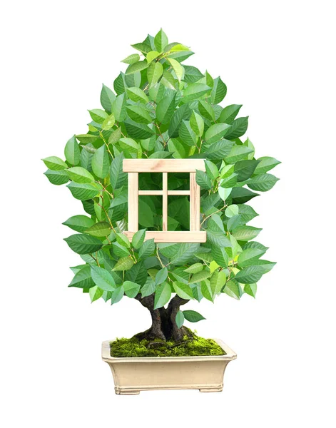 Eco Friendly Home Concept Eco House Made Green Leaves Ecology — Stock Photo, Image