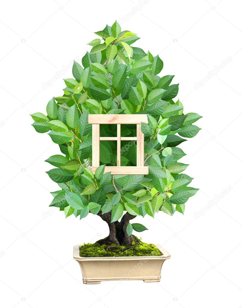Eco friendly home concept. Eco house made up of green leaves. Ecology and zero waste. Isolated on white background