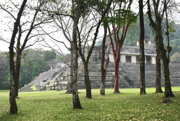 Ancient Stepped Pyramid Pre Columbian Maya Civilization Palenque Chiapas Mexico — ストック写真