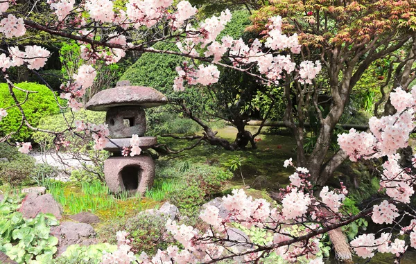 Ancient Decorative Stone Lantern Pink Sakura Flowers Shinto Temple Hokokuji — Fotografia de Stock