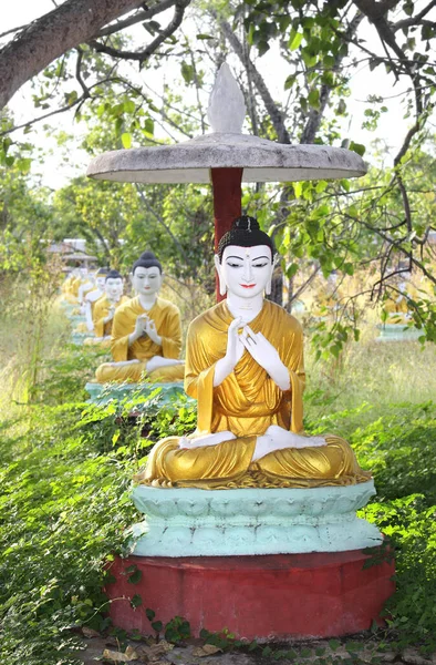 Rijen Stenen Van Oude Standbeelden Van Boeddha Onder Paraplu Bodhi — Stockfoto