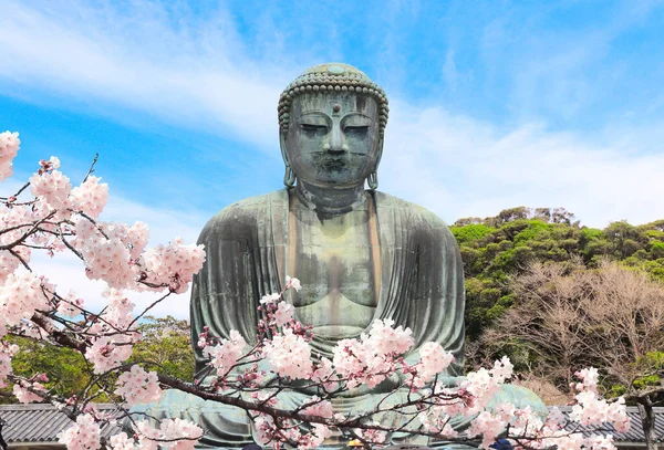 Büyük Buda Daibutsu Nun Antik Bronz Heykeli Sakura Nın Çiçekleri — Stok fotoğraf