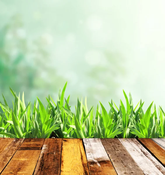Sommergras Und Alte Holzplanken Auf Grünem Hintergrund Leere Holztischplatte Vor — Stockfoto