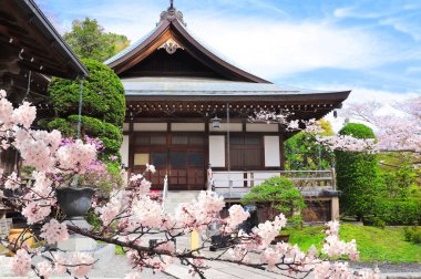 Hokokuji Tapınağı 'nda antik pavyon ve sakura çiçeği dalları. Sakura çiçek mevsimi Kamakura, Kanagawa, Japonya