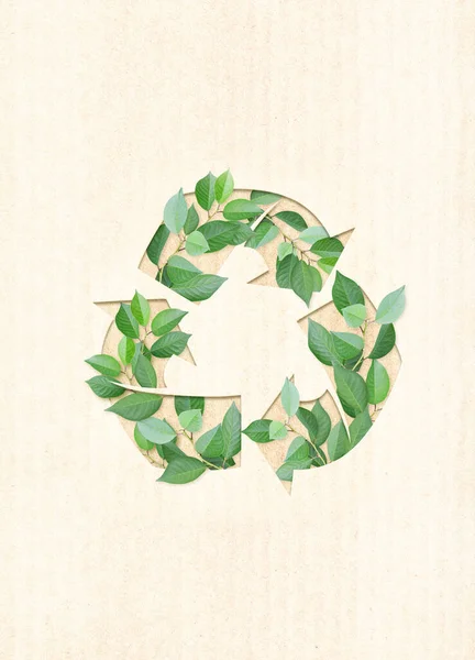 Ecology Zero Waste Concept Arrows Recycle Symbol Green Leaves Cardboard — Stock Photo, Image