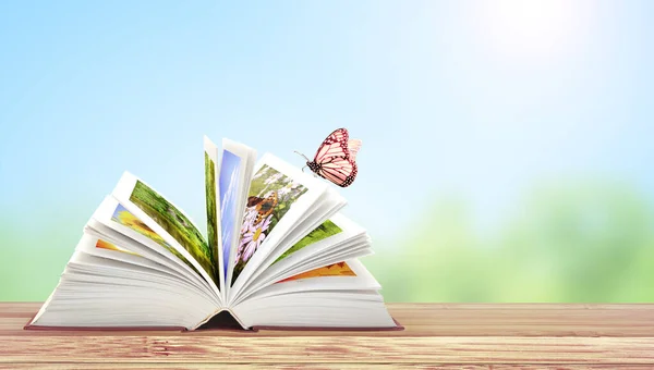 Buch Der Natur Horizontales Banner Mit Aufgeschlagenem Buch Und Schmetterling — Stockfoto