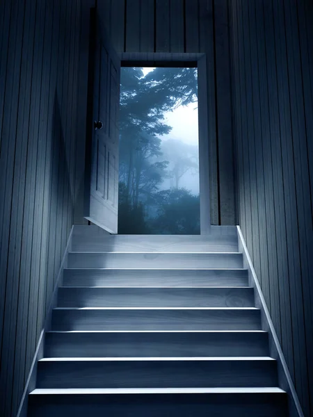 Steps Leading Dark Basement Open Door Mysterious Landscape Trees Bushes — Stock Photo, Image