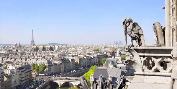 パリの最高の景色 カトリック大聖堂ノートルダム パリからの眺め とフランスのセーヌ川 パリの歴史地区の空中風景 — ストック写真