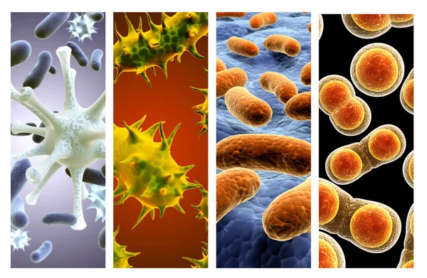 Coleção Banners Horizontais Verticais Com Bactérias Patogênicas Vírus Vírus Microscópio — Fotografia de Stock