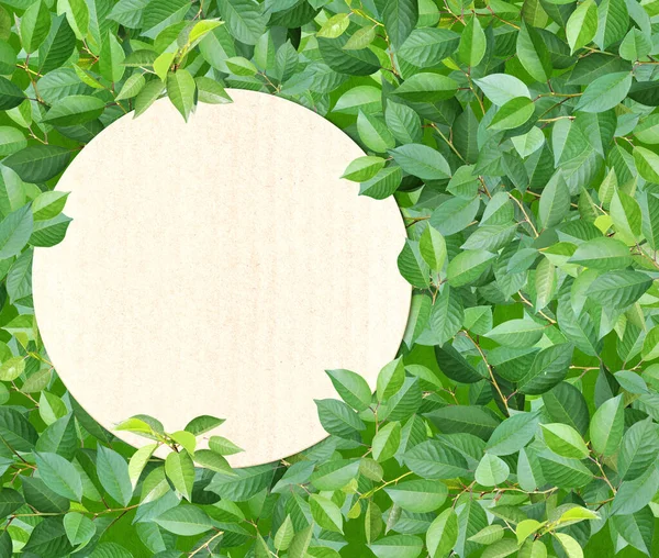 Οριζόντια Φόντο Πράσινα Φύλλα Καλοκαιρινή Φύση Πανό Και Ανακυκλωμένο Στρογγυλό — Φωτογραφία Αρχείου
