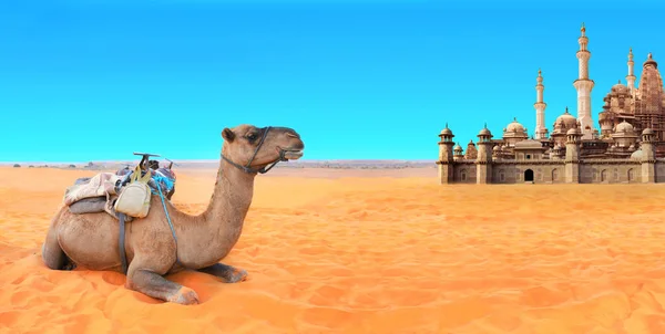 有骆驼的水平横幅和沙漠中令人难以置信的失落的城市 沙漠中美丽的东方小镇 幻想景观 流口水躺在沙滩上 童话般的城市 — 图库照片