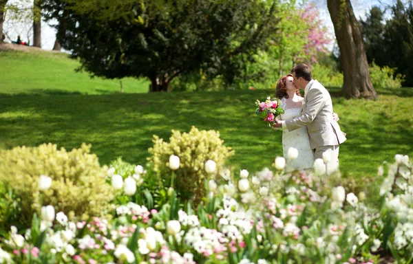 Glad bara gifta par kyssar i parken — Stockfoto