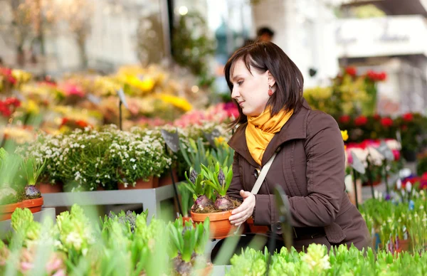 Vacker flicka att välja blommor på marknaden — Stockfoto