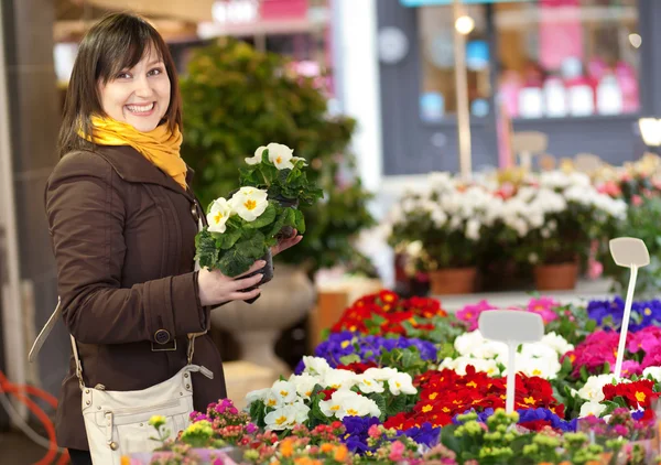 Beautiful girl selecting flowers at market — Stock Photo, Image