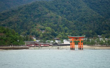 Harika bir manzara torii kapısı, miyajima, Japonya