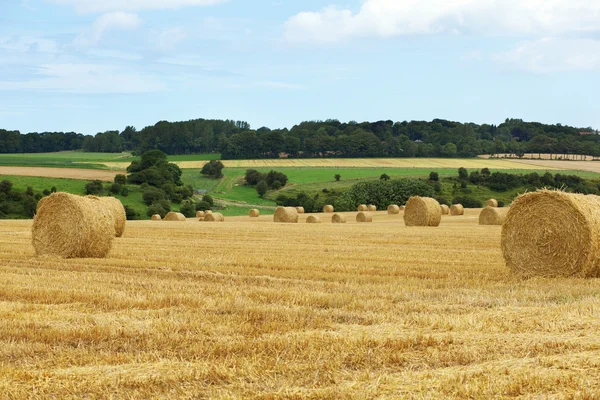 Prachtige landschap van gouden velden in Normandië, Frankrijk — Stockfoto
