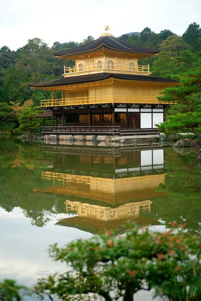 일본 교토에 있는 킨 커 쿠지 사원 ( 황금 파빌리온 ) — 스톡 사진