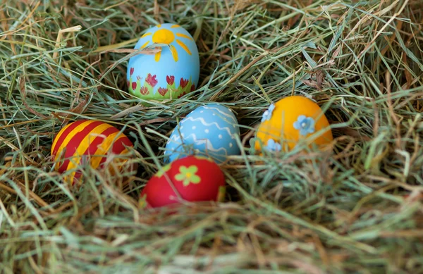 Huevos de Pascua coloridos pintados en heno —  Fotos de Stock