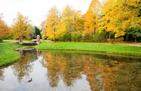 Herbst in puschkin, saint-petersburg, russland — Stockfoto