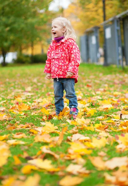 Entzückendes kleines Mädchen, das im Herbst Spaß im Freien hat — Stockfoto