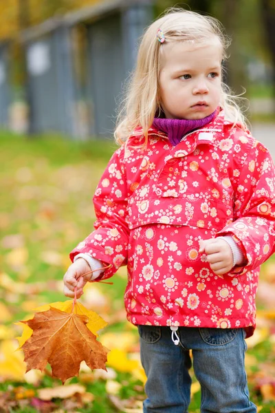 Adorable niña con hojas de arce amarillo —  Fotos de Stock