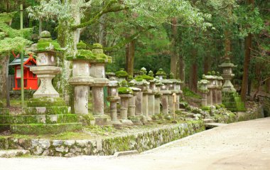 kasuga tapınak içinde nara giden yol üzerinde birçok taş fenerler