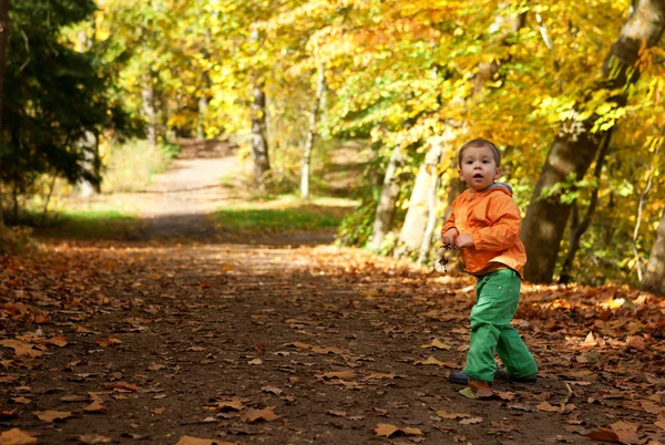 Adorable tout-petit garçon dans la forêt d'automne — Photo