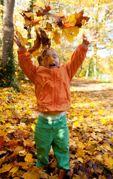 Adorable niño lanzando hojas de arce en el soleado día de otoño — Foto de Stock