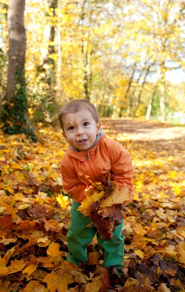 Adorable toddler boy with maple leaves at sunny autumn day — Stock Photo, Image