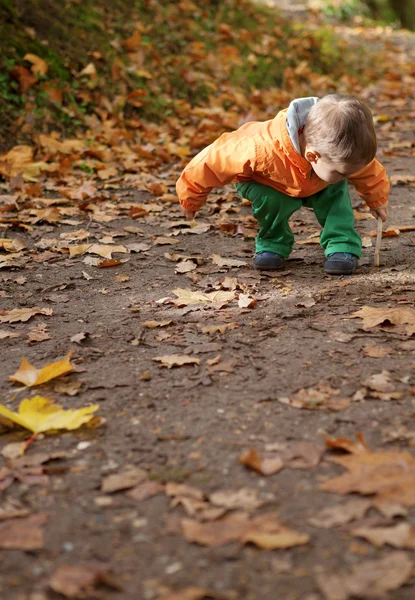 Toddler biały chłopiec w jesień las — Zdjęcie stockowe