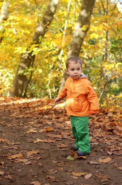 Adorabile bambino ragazzo nella foresta autunnale — Foto Stock