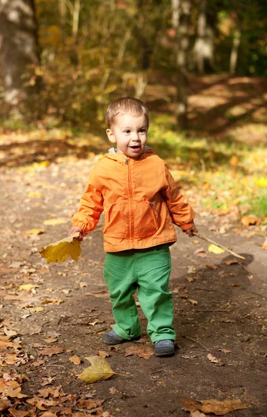 Toddler biały chłopiec w jesień las — Zdjęcie stockowe