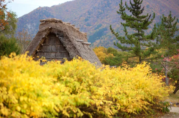 Evi tarihi köy shirakawa-go, gifu ili, Japonya — Stok fotoğraf