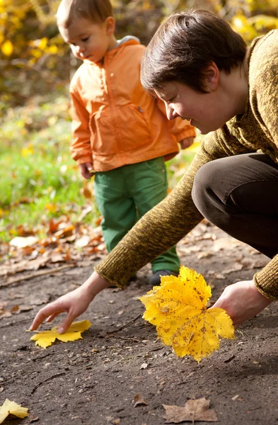 Moeder en zoon verzamelen gele esdoorn bladeren in de herfst bos — Stockfoto