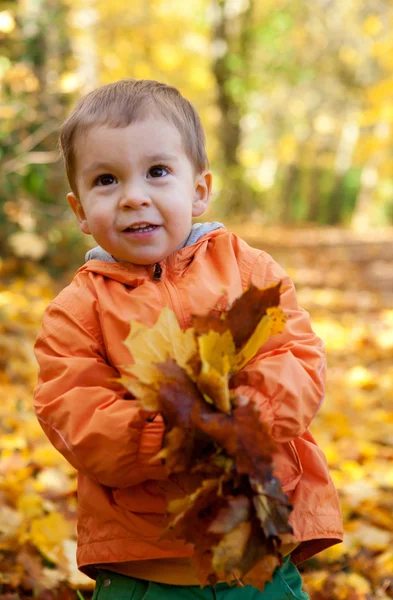 Adorable toddler boy with maple leaves at sunny autumn day — Stock Photo, Image