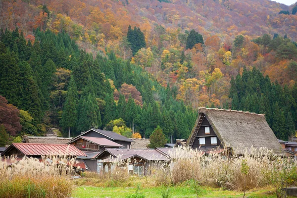 Evler tarihi köy shirakawa-go, gifu ili, Japonya — Stok fotoğraf
