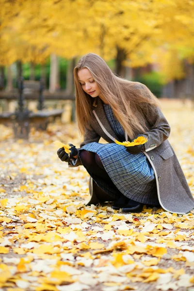 Vacker flicka samla ljus hösten lämnar i park — Stockfoto