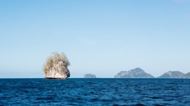 güzel küçük rock Island el nido palawan, phi ağaçlarda ile