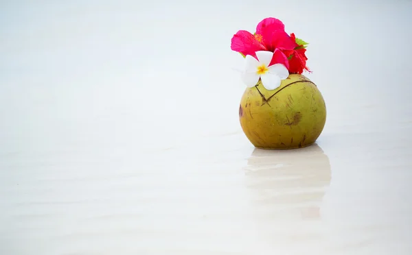 Bebida de coco decorada con flores en tropi de arena blanca perfecta —  Fotos de Stock